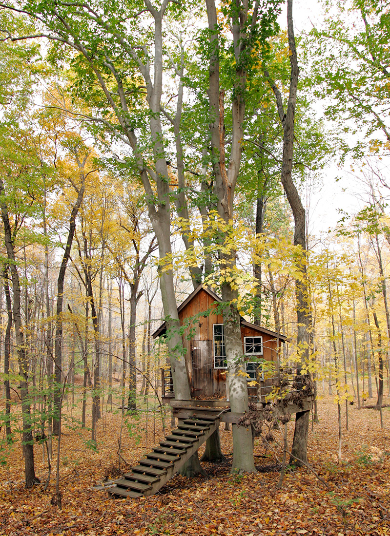tree-house-copy